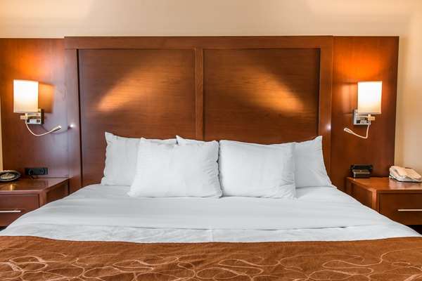 Suite - Comfort Suites Wixom - I-96, Exit 159