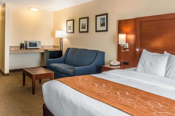 Suite - Comfort Suites Wixom - I-96, Exit 159