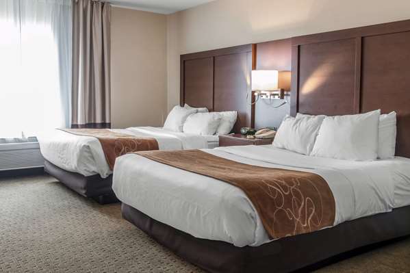 Suite - Comfort Suites Wixom - I-96, Exit 159