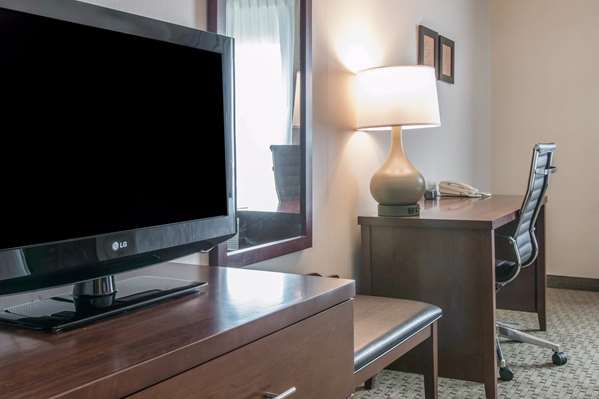 Suite - Comfort Suites Wixom - I-96, Exit 159