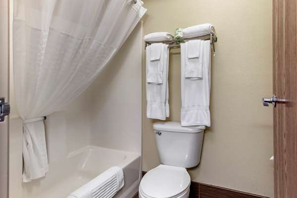 Suite - Comfort Suites Grandville