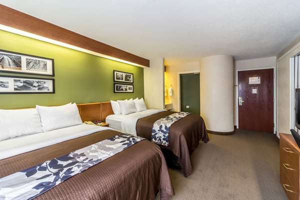 Suite - Sleep Inn & Suites Acme