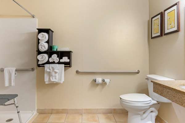  - Comfort Suites Southfield