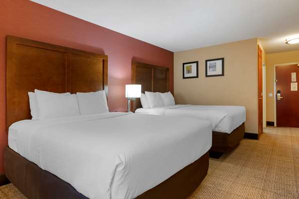  - Comfort Inn & Suites Jackson