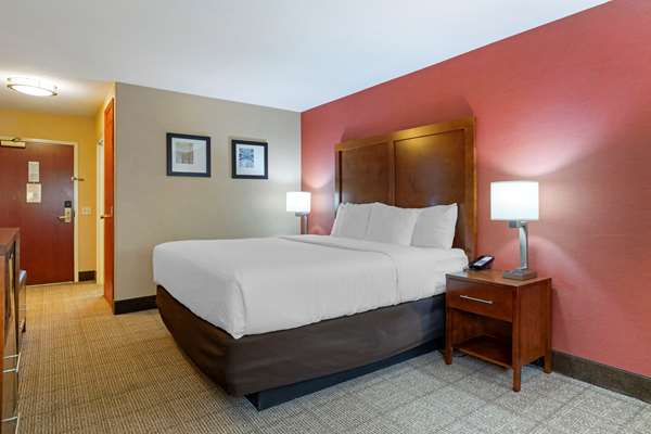  - Comfort Inn & Suites Jackson