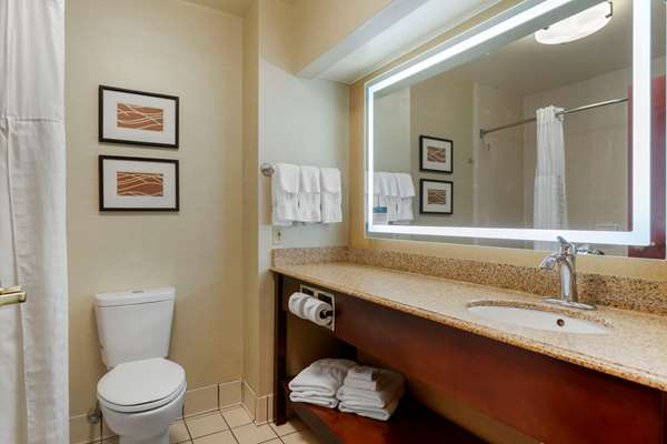 Suite - Comfort Inn & Suites Jackson