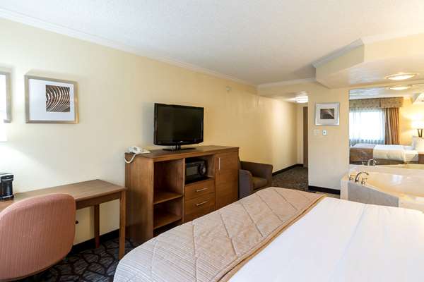  - Clarion Hotel Detroit Metro Airport Romulus
