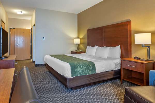  - Comfort Inn Charlotte - I-69, Exit 61
