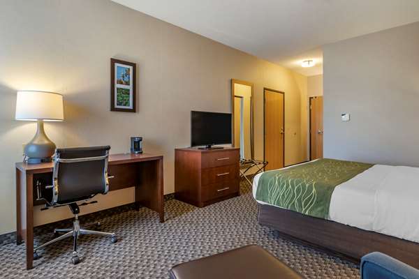  - Comfort Inn Charlotte - I-69, Exit 61
