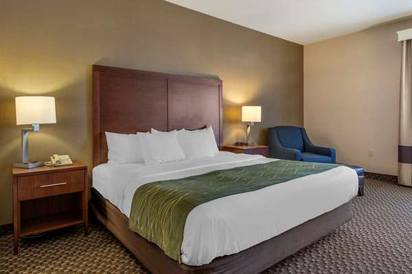  - Comfort Inn Charlotte - I-69, Exit 61