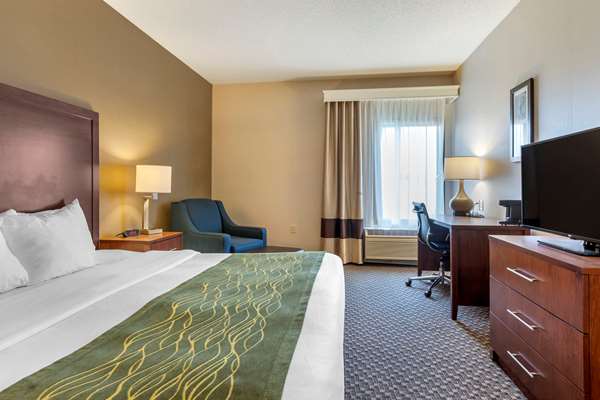  - Comfort Inn Charlotte - I-69, Exit 61