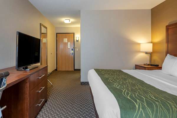  - Comfort Inn Charlotte - I-69, Exit 61