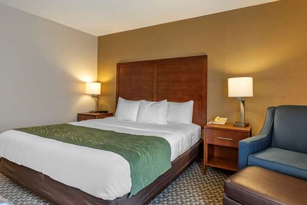  - Comfort Inn Charlotte - I-69, Exit 61