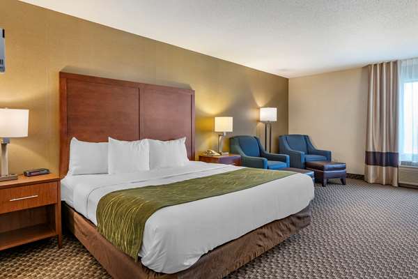  - Comfort Inn Charlotte - I-69, Exit 61
