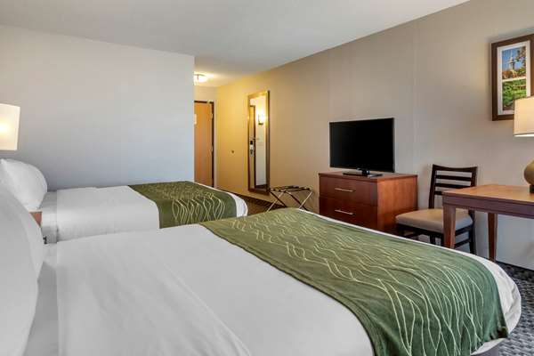  - Comfort Inn Charlotte - I-69, Exit 61