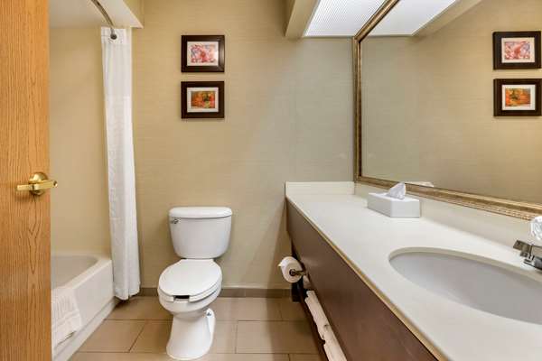  - Comfort Inn Charlotte - I-69, Exit 61