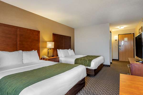  - Comfort Inn Charlotte - I-69, Exit 61