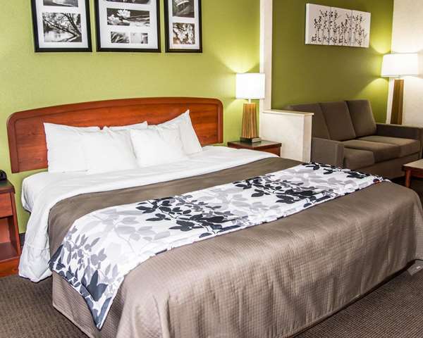 Suite - Sleep Inn & Suites Allendale