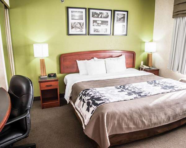 Suite - Sleep Inn & Suites Allendale