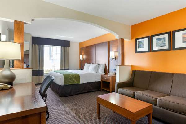  - Comfort Suites Stevensville - I-94, Exit 23