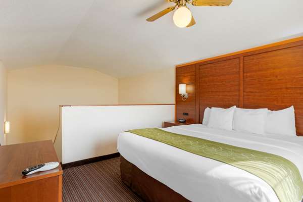 Suite - Comfort Suites Stevensville - I-94, Exit 23