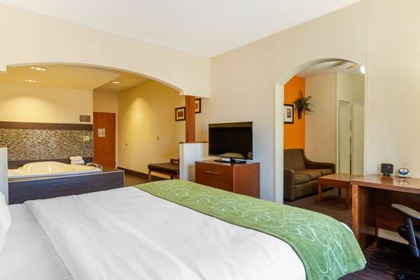 Suite - Comfort Suites Stevensville - I-94, Exit 23