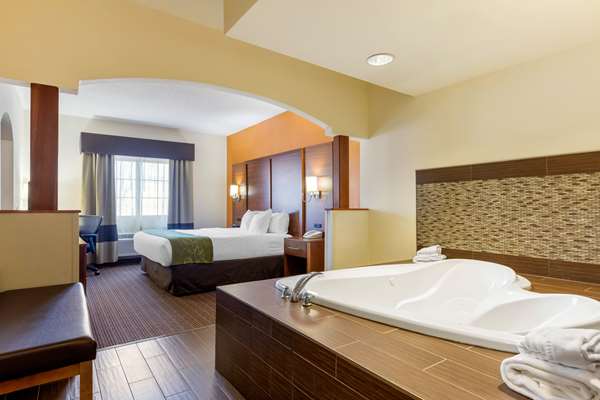 Suite - Comfort Suites Stevensville - I-94, Exit 23