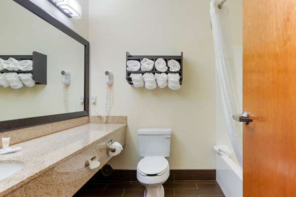 Suite - Comfort Suites Stevensville - I-94, Exit 23
