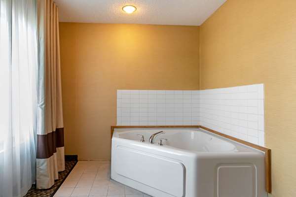 Suite - Comfort Suites South Haven