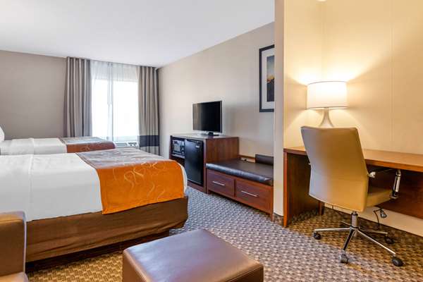 Suite - Comfort Suites South Haven