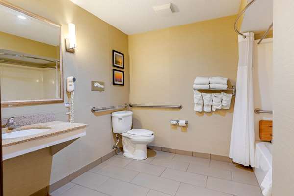 Suite - Comfort Suites South Haven