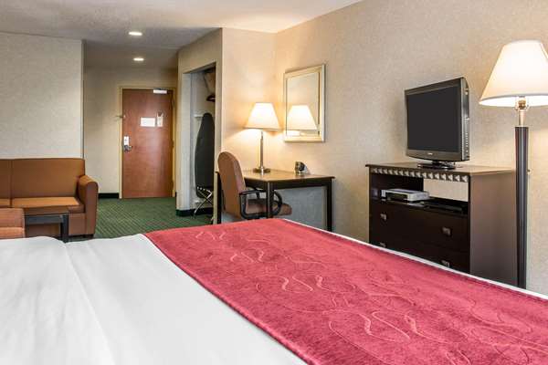 Suite - Comfort Suites Canton - I-275, Exit 25