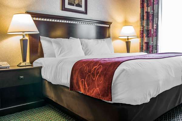 Suite - Comfort Suites Canton - I-275, Exit 25