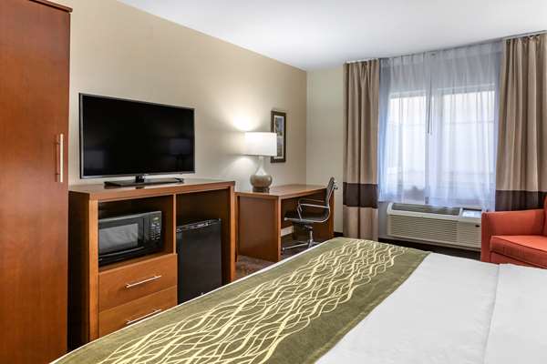  - Comfort Inn Okemos