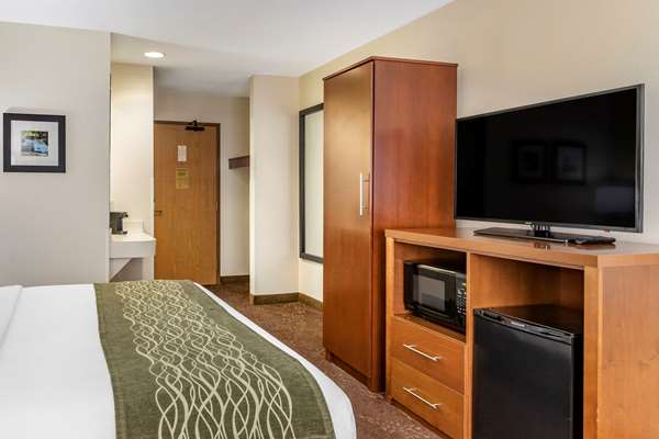  - Comfort Inn Okemos