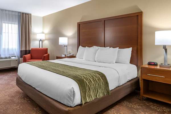  - Comfort Inn Okemos