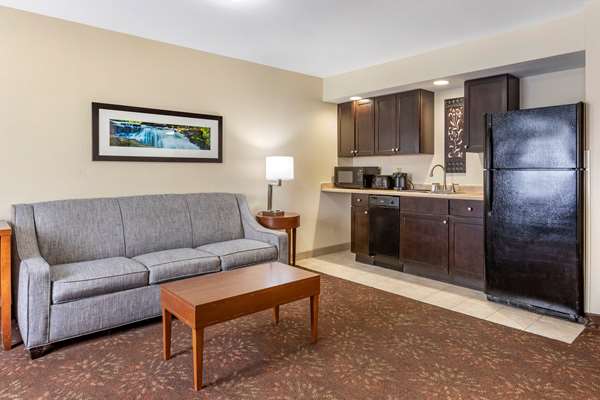  - Comfort Inn Okemos