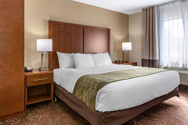  - Comfort Inn Okemos
