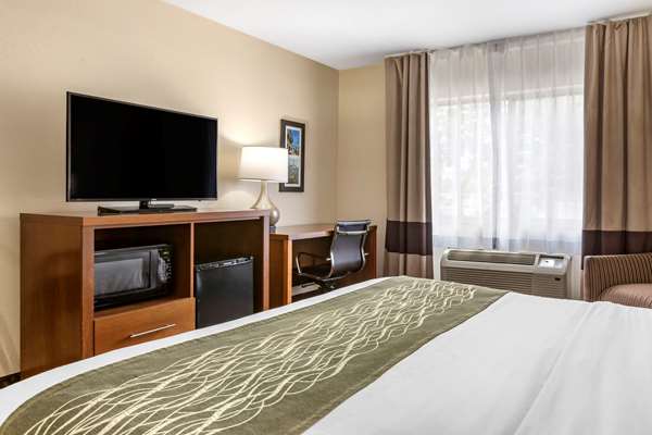  - Comfort Inn Okemos