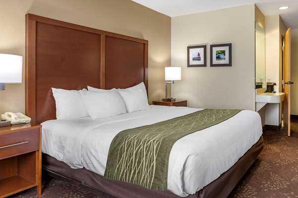  - Comfort Inn Okemos