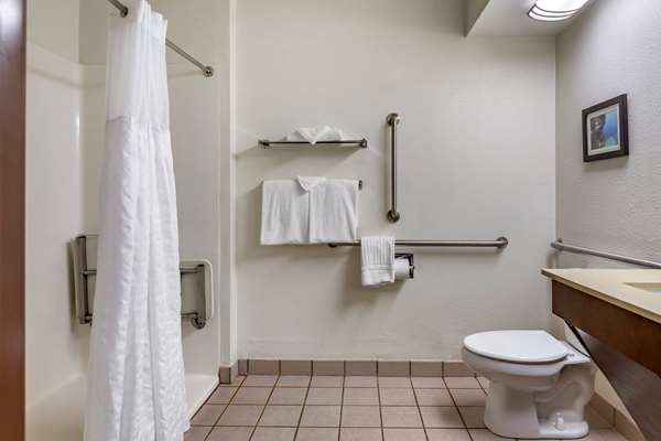  - Comfort Inn Okemos
