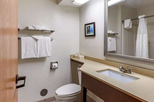  - Comfort Inn Okemos