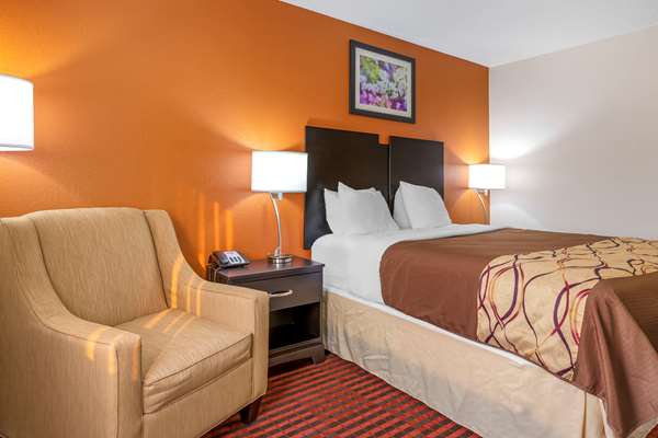  - Rodeway Inn Coopersville