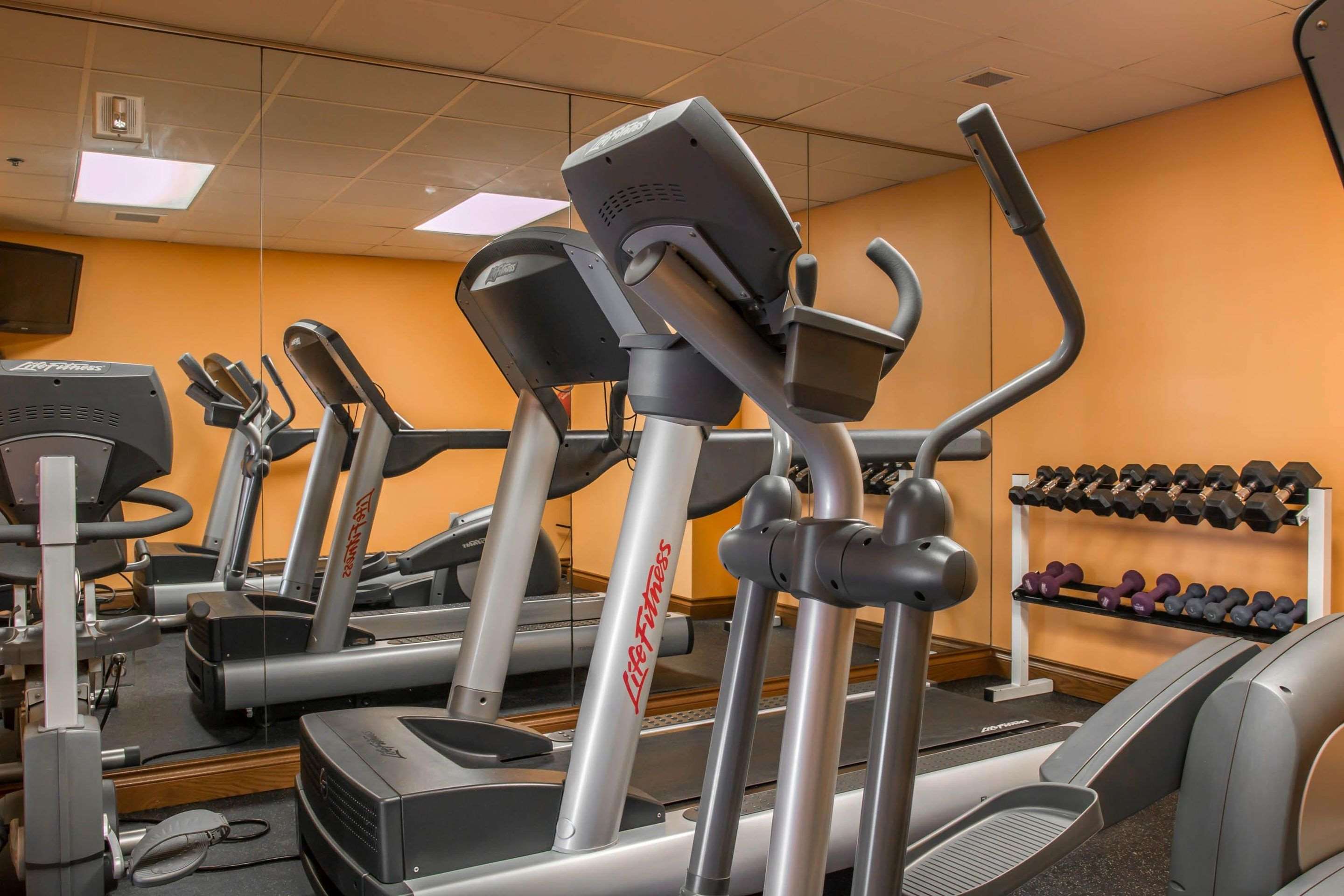 Fitness center with cardio equipment and weights