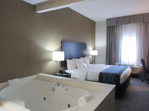  - Comfort Inn Port Huron - I-69 & I-94, Exit 275