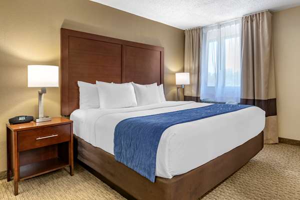 Suite - Comfort Inn Dearborn