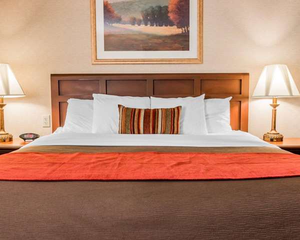 Suite - Comfort Inn Utica