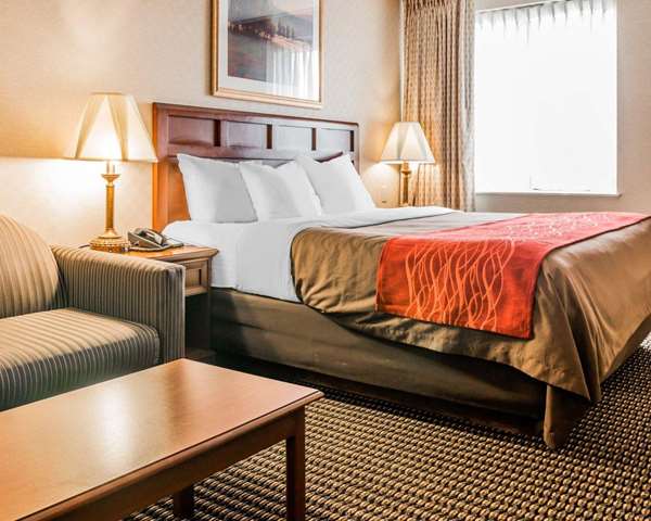 Suite - Comfort Inn Utica