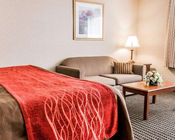 Suite - Comfort Inn Utica