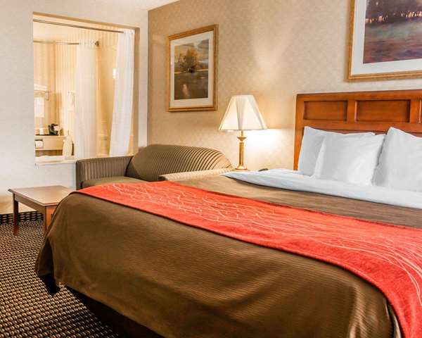 Suite - Comfort Inn Utica